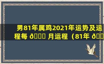 男81年属鸡2021年运势及运程每 💐 月运程（81年 🐡 属鸡男人在2021年的全年运势）